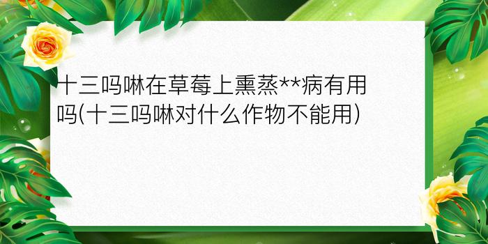 十三吗啉在草莓上熏蒸**病有用吗(十三吗啉对什么作物不能用)