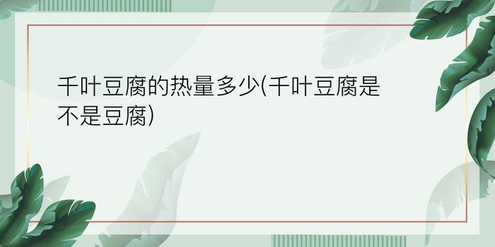 千叶豆腐的热量多少(千叶豆腐是不是豆腐)