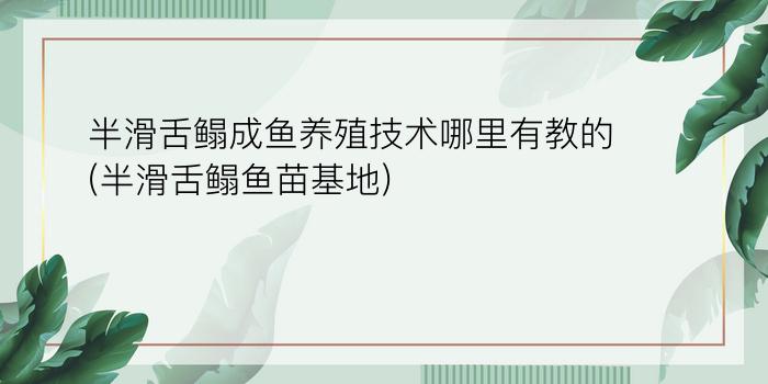 半滑舌鳎成鱼养殖技术哪里有教的(半滑舌鳎鱼苗基地)