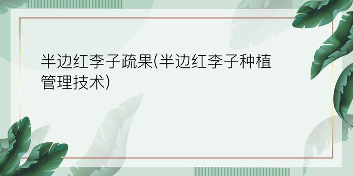 半边红李子疏果(半边红李子种植管理技术)