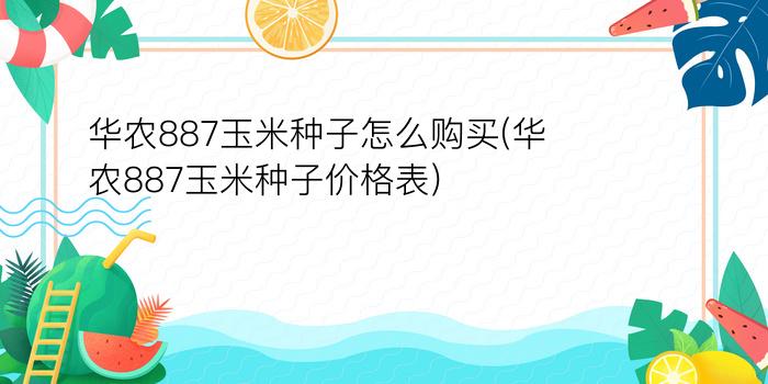 华农887玉米种子怎么购买(华农887玉米种子价格表)