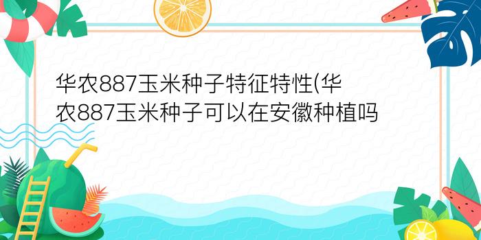 华农887玉米种子特征特性(华农887玉米种子可以在安徽种植吗)