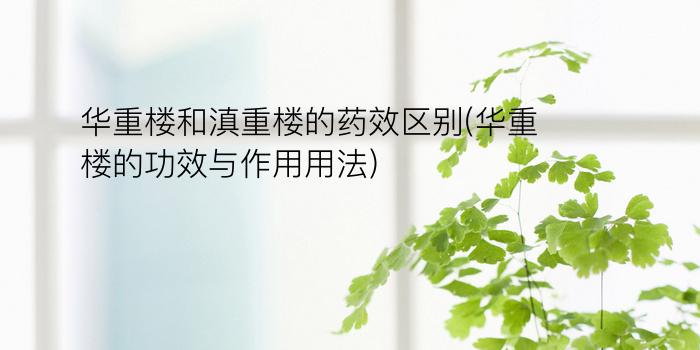 华重楼和滇重楼的药效区别(华重楼的功效与作用用法)