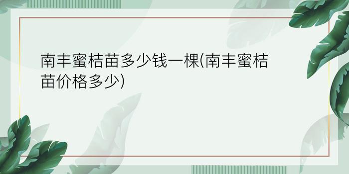 南丰蜜桔苗多少钱一棵(南丰蜜桔苗价格多少)