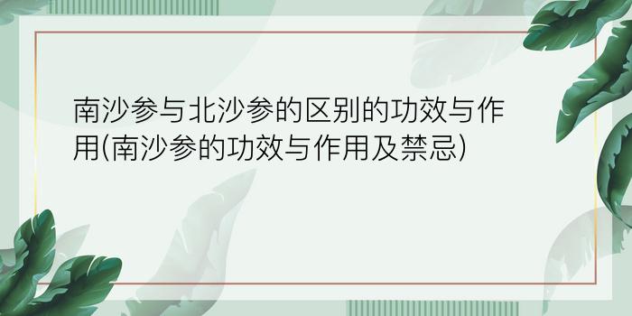 南沙参与北沙参的区别的功效与作用(南沙参的功效与作用及禁忌)