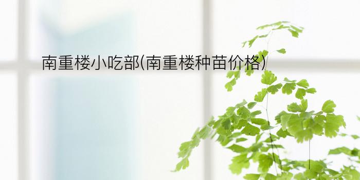 南重楼小吃部(南重楼种苗价格)