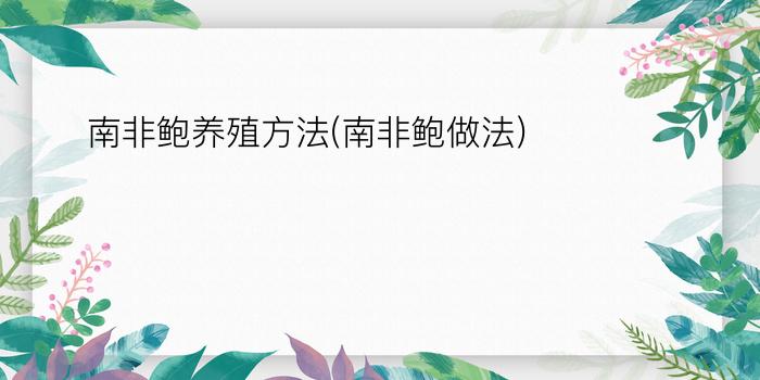 南非鲍养殖方法(南非鲍做法)