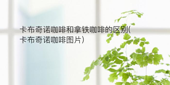 卡布奇诺咖啡和拿铁咖啡的区别(卡布奇诺咖啡图片)