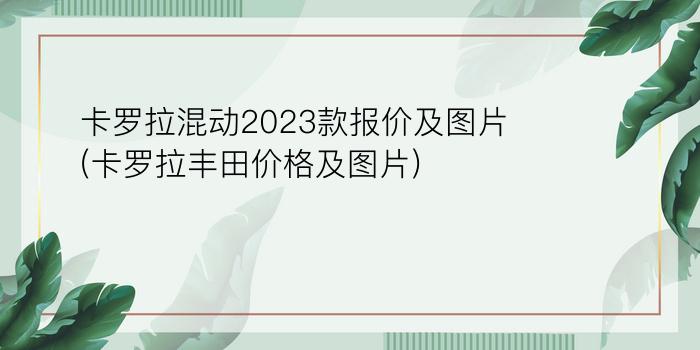 卡罗拉混动2023款报价及图片(卡罗拉丰田价格及图片)