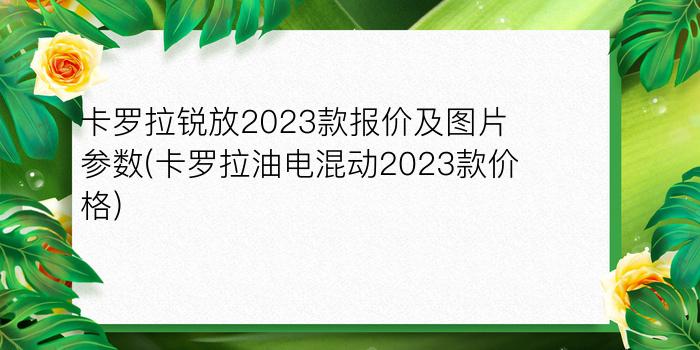 卡罗拉锐放2023款报价及图片参数(卡罗拉油电混动2023款价格)