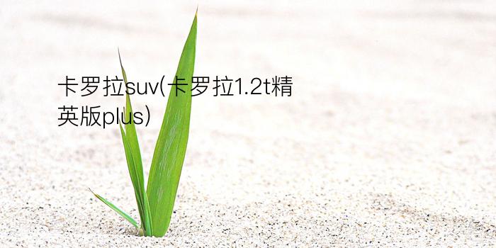 卡罗拉suv(卡罗拉1.2t精英版plus)