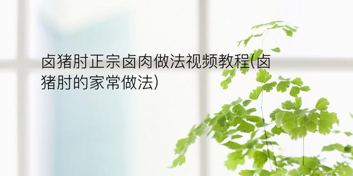 卤猪肘正宗卤肉做法视频教程(卤猪肘的家常做法)