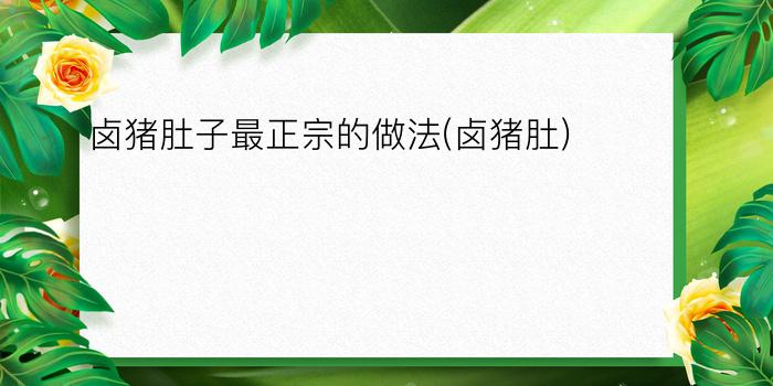 卤猪肚子最正宗的做法(卤猪肚)