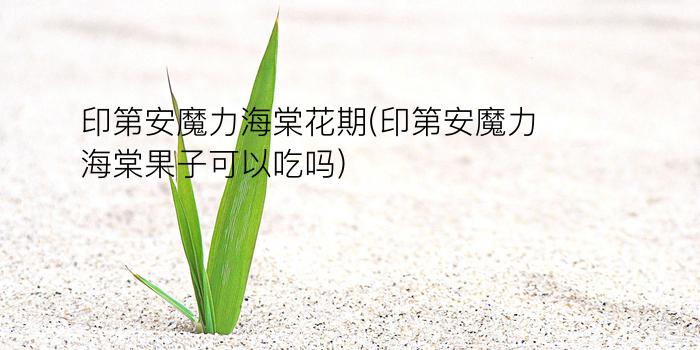 印第安魔力海棠花期(印第安魔力海棠果子可以吃吗)