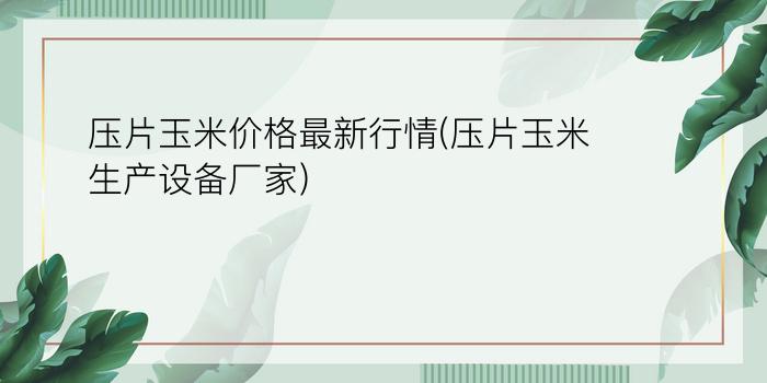 压片玉米价格最新行情(压片玉米生产设备厂家)