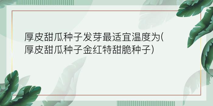 厚皮甜瓜种子发芽最适宜温度为(厚皮甜瓜种子金红特甜脆种子)