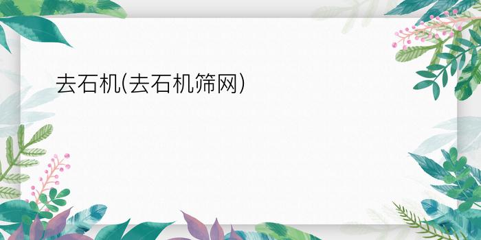 去石机(去石机筛网)