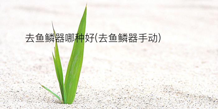 去鱼鳞器哪种好(去鱼鳞器手动)