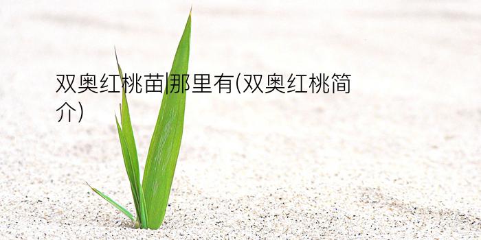 双奥红桃苗|那里有(双奥红桃简介)