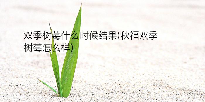 双季树莓什么时候结果(秋福双季树莓怎么样)