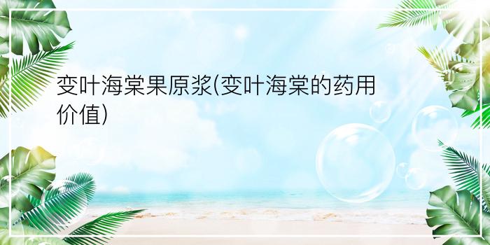 变叶海棠果原浆(变叶海棠的药用价值)