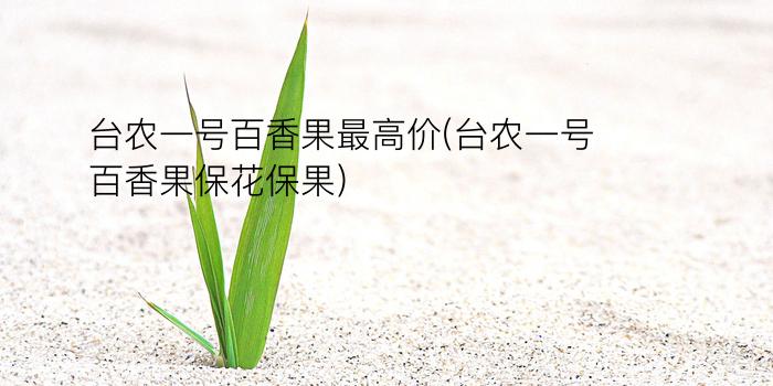 台农一号百香果最高价(台农一号百香果保花保果)