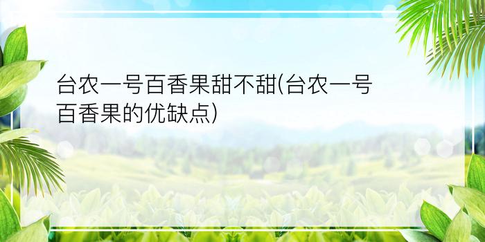 台农一号百香果甜不甜(台农一号百香果的优缺点)