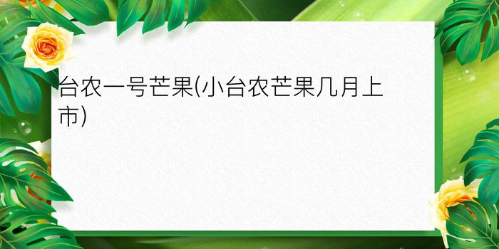 台农一号芒果(小台农芒果几月上市)