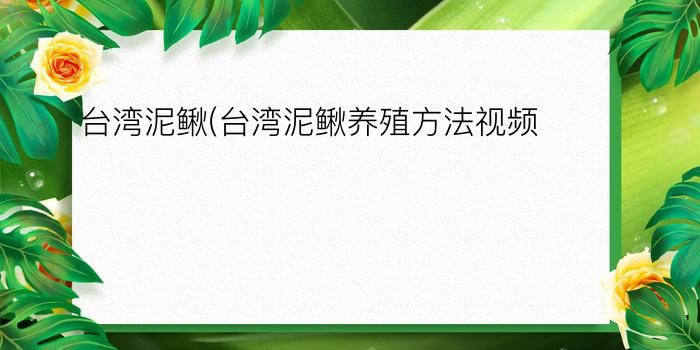 台湾泥鳅(台湾泥鳅养殖方法视频)