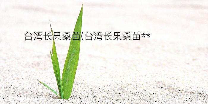 台湾长果桑苗(台湾长果桑苗**)