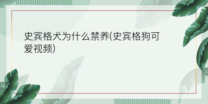 史宾格犬为什么禁养(史宾格狗可爱视频)