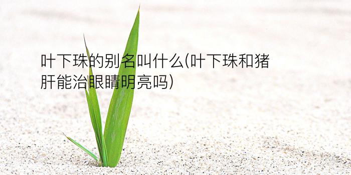 叶下珠的别名叫什么(叶下珠和猪肝能治眼睛明亮吗)