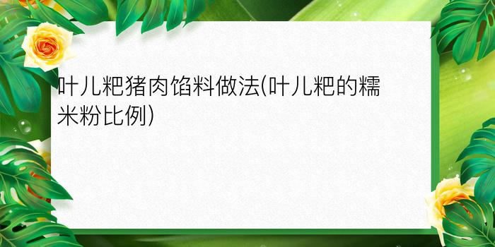 叶儿粑猪肉馅料做法(叶儿粑的糯米粉比例)