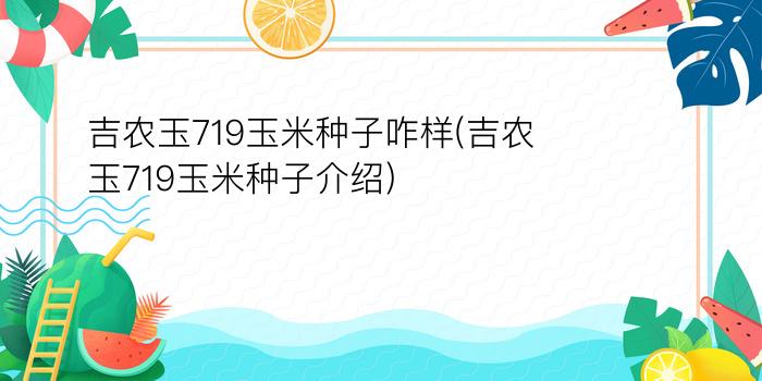 吉农玉719玉米种子咋样(吉农玉719玉米种子介绍)