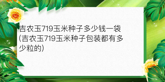 吉农玉719玉米种子多少钱一袋(吉农玉719玉米种子包装都有多少粒的)