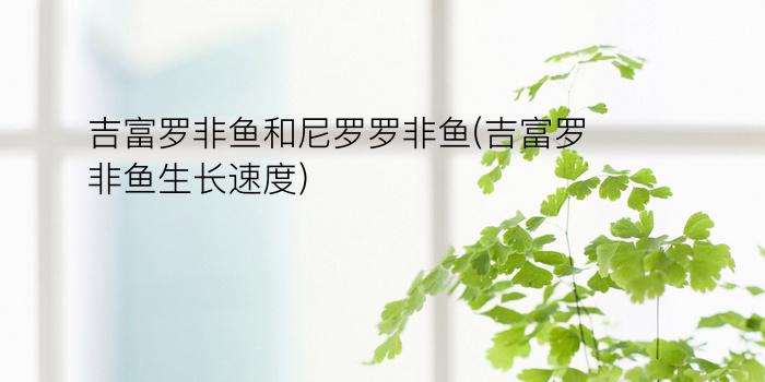 吉富罗非鱼和尼罗罗非鱼(吉富罗非鱼生长速度)