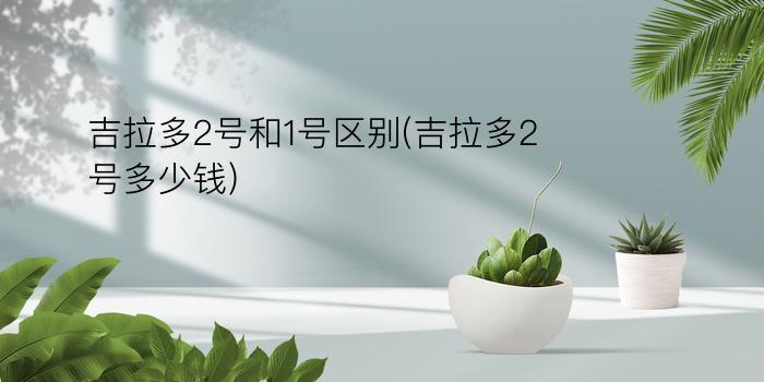 吉拉多2号和1号区别(吉拉多2号多少钱)