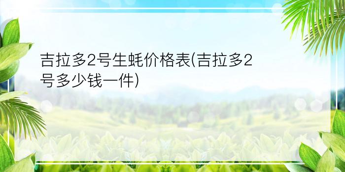 吉拉多2号生蚝价格表(吉拉多2号多少钱一件)