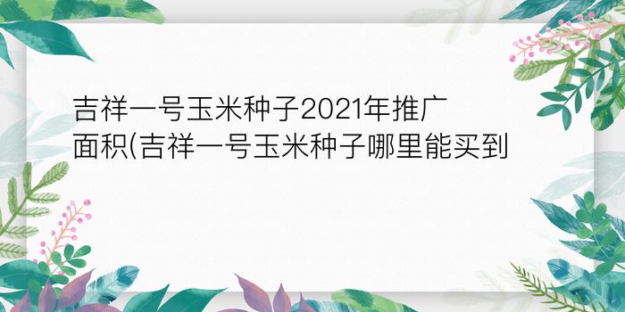 吉祥一号玉米种子2021年推广面积(吉祥一号玉米种子哪里能买到)