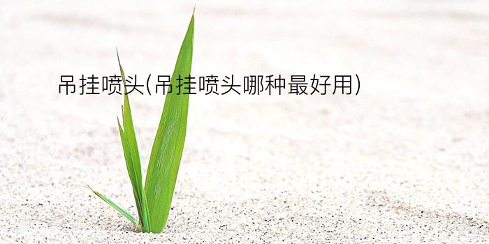 吊挂喷头(吊挂喷头哪种最好用)