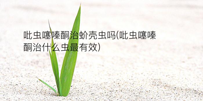 吡虫噻嗪酮治蚧壳虫吗(吡虫噻嗪酮治什么虫最有效)