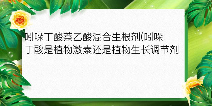 吲哚丁酸萘乙酸混合生根剂(吲哚丁酸是植物激素还是植物生长调节剂)