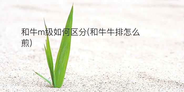 和牛m级如何区分(和牛牛排怎么煎)