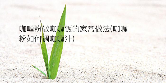 咖喱粉做咖喱饭的家常做法(咖喱粉如何调咖喱汁)