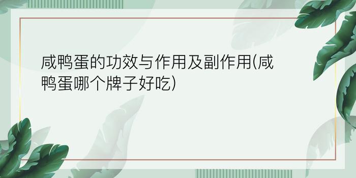 咸鸭蛋的功效与作用及副作用(咸鸭蛋哪个牌子好吃)