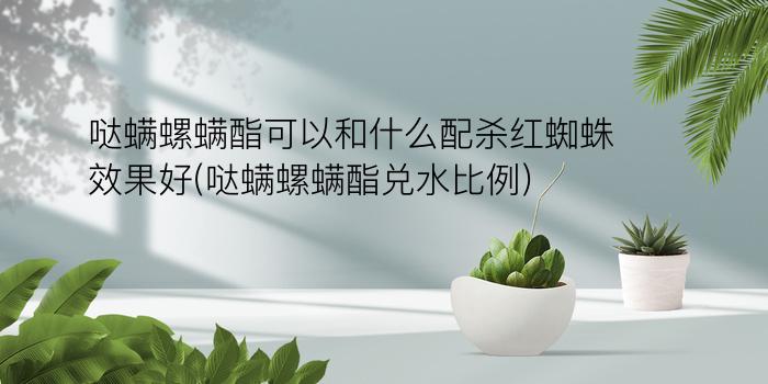 哒螨螺螨酯可以和什么配杀红蜘蛛效果好(哒螨螺螨酯兑水比例)