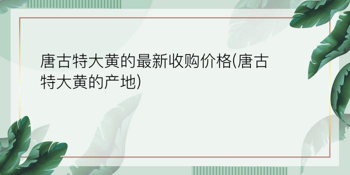 唐古特大黄的最新收购价格(唐古特大黄的产地)