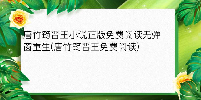 唐竹筠晋王小说正版免费阅读无弹窗重生(唐竹筠晋王免费阅读)