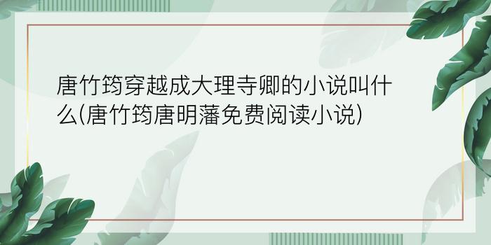 唐竹筠穿越成大理寺卿的小说叫什么(唐竹筠唐明藩免费阅读小说)