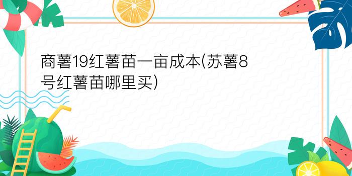 商薯19红薯苗一亩成本(苏薯8号红薯苗哪里买)